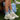 Green/Blue