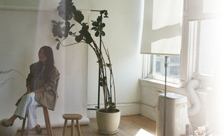 The Art Of Sustainability